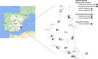 Factors structuring microbial communities in highly impacted coastal marine sediments (Mar Menor lagoon, SE Spain)